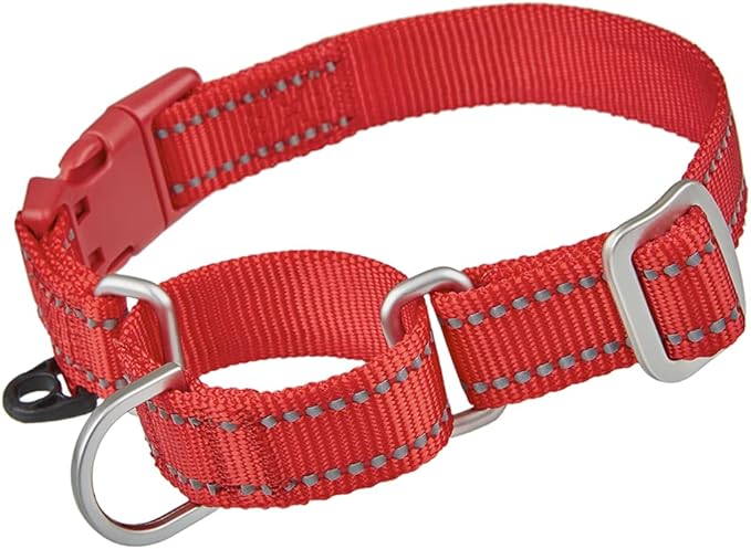 Reflective Martingale Collar for Dogs with Quick Snap Buckle Anti-Pull Nylon Safe Slip Collars for Easy Walking,Red,Small