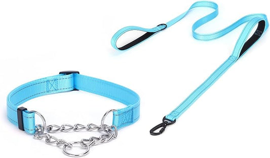 Martingale Dog Collar with Stainless Steel Chain and Leash Set, Martingale Collar with Reflective, 5FT Double Handle Dog Leash Padded, Adjustable for Medium Large Dogs (L, Light Blue)