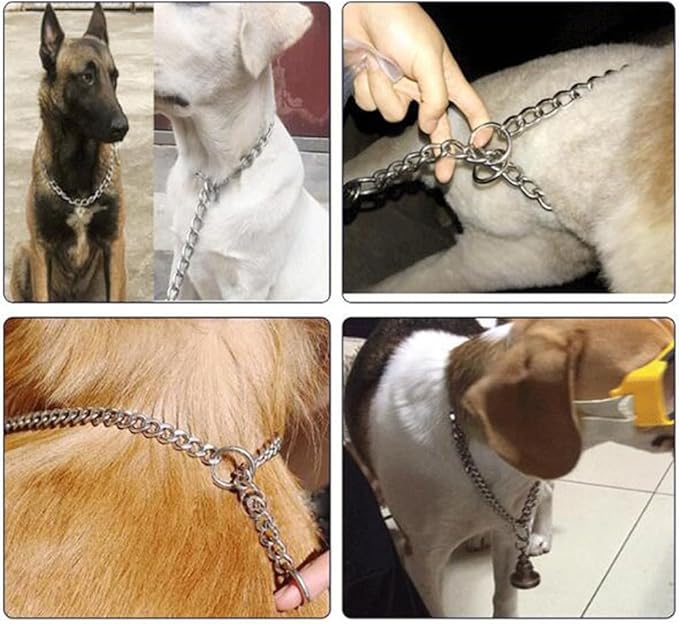 Metal Slip P Link Training Puppy Chain Collar for Dogs, Martingale Collars for XXS XS Small Medium Large Dog, Silver S