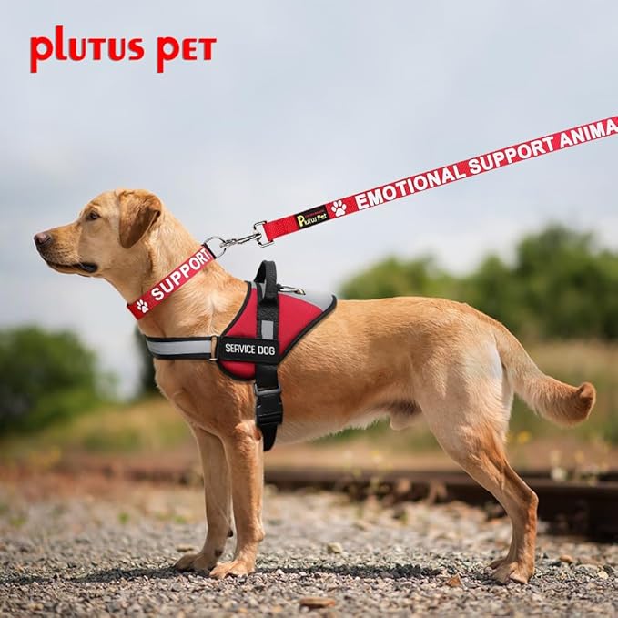 Plutus Pet Support Animal Collar,Printed in Large Letters on Nylon Webbing,Prevents Accidents by Warning Others of Your Dog in Advance,Two Colors,Four Sizes,Neck 10-16 inch,Small,Red