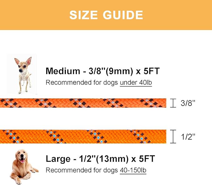5 FT Slip Lead Dog Leash, Heavy Duty Rope Leash for Small Medium Large Dogs, No Pull Training Lead with Reflective Thread, Strong Comfortable Loop Leash (Orange Stripe, Medium(3/8"))