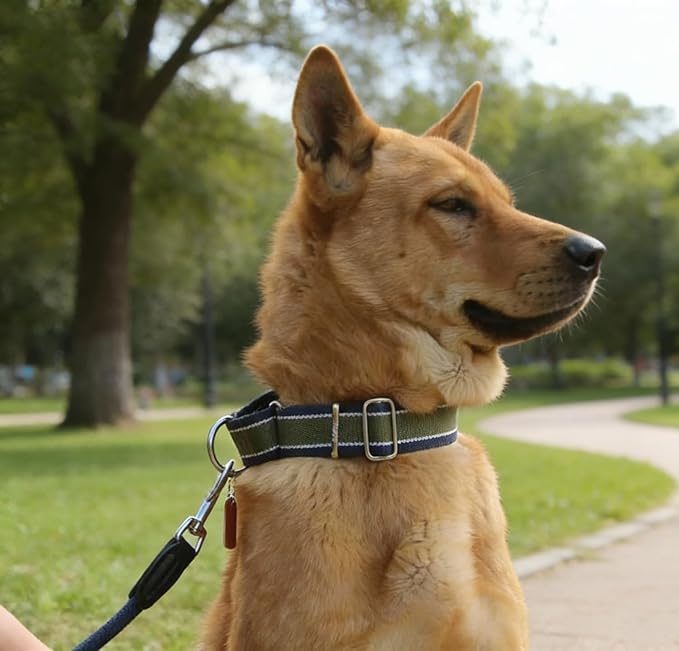Martingale Collar 1.5 Inch Wide 1600D Extra Strong Anti Escape Nylon Dog Collar, No Pull Heavy Duty Dog Collar with 3-Color Stripe for Large to XLarge Dogs (L, Army Green & Gray)