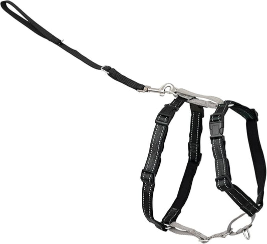 PetSafe 3-in-1 Harness - Comfortable Easy-Walk Dog Chest Harness with Front Leash Attachment to Reduce Pulling, Choking & Gagging - Dog Obedience Gear - Medium - Black