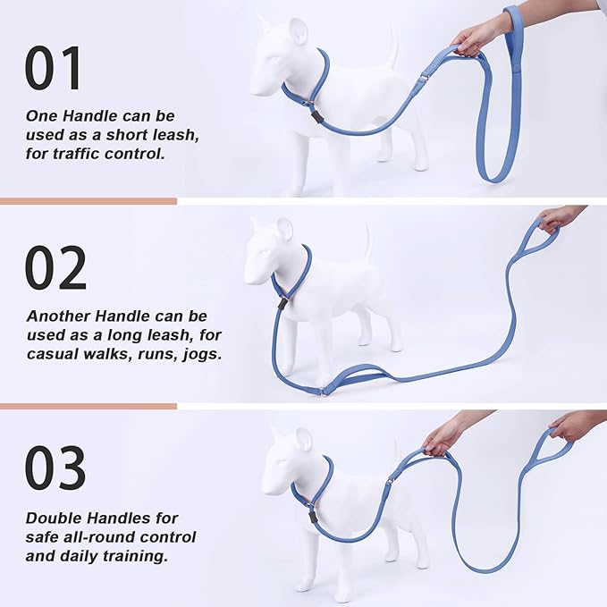 Slip Lead Dog Leash With Double Handle - Soft Leather Collar, Heavy Duty Nylon Lead for No Pull Walking - 6ft Blue Purple for Small, Medium, Large Dogs