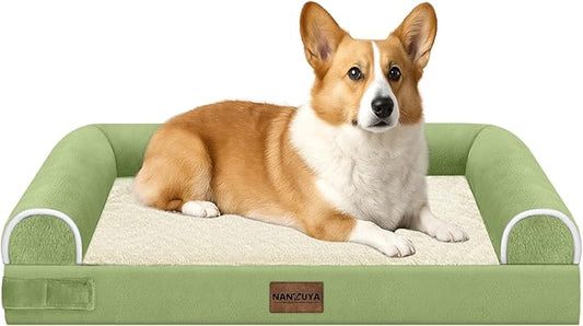 Medium Large Dog Bed Orthopedic Washable: Beds Bolster Medium Large Sized Dog Bed Egg Crate Foam Couch Sofa Waterproof with Removable Cover - Grass Green