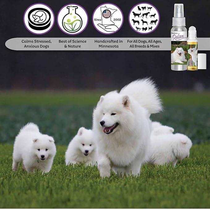 The Blissful Dog Samoyed Relax Roll-ON Aromatherapy for Dogs - Anxiety Relief for Dogs