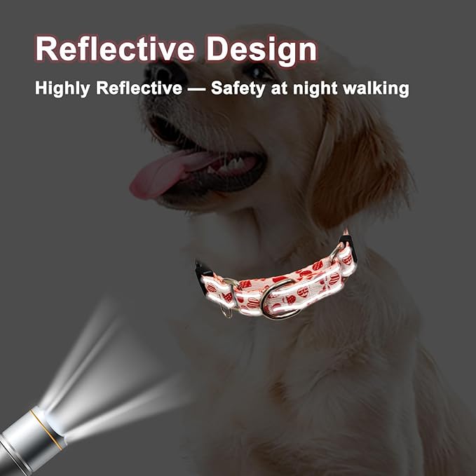 Valentines Reflective Martingale Collar for Dogs with Quick Release Buckle Cute Girl No Pull Dog Collars (Red Heart, Large)