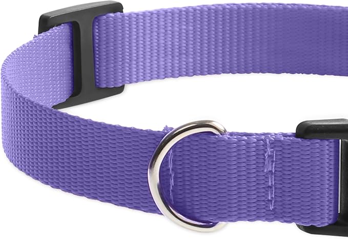 Ecollar Replacement Strap, Nylon 3/4" Replacement Collar for Shock Collar with Quick Release Buckle, Adjustable Shock Collar Replacement Strap for Small Medium Large Dogs (Purple & Yellow)
