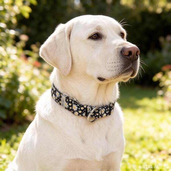Black Martingale Collars for Dogs, Daisy Print No-Slip Escape Proof Choke No Pull Soft Nylon Training Dog Collars for Small Medium Large Breed Pet Dogs, M
