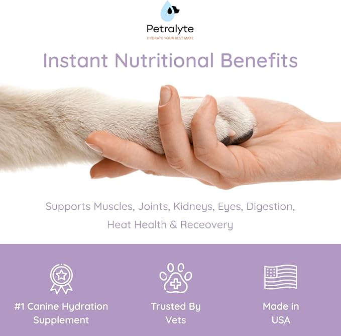 Dog Electrolytes and Joint Supplement | Hydration Support for Dogs w/Glucosamine, Chondroitin & More | Electrolytes for Dogs with Prebiotics | Unflavored | 32 Packets