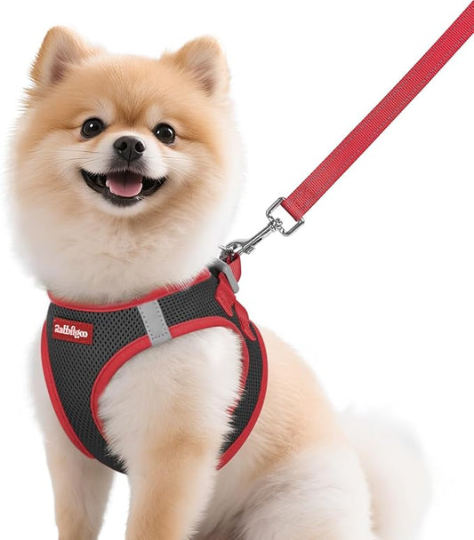 rabbitgoo Dog Harness Small Sized and Leash Set, Step-in Breathable Pet Harness, Soft Walking Reflective Puppy Vest for Small Dogs, Black & Red, M