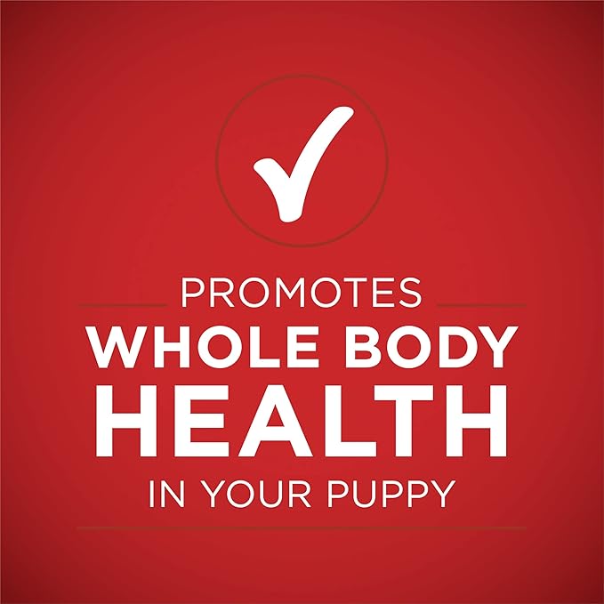 Purina ONE Plus Wet Puppy Food Classic Ground Healthy Puppy Lamb and Long Grain Rice Entree - (Pack of 24) 13 oz. Cans