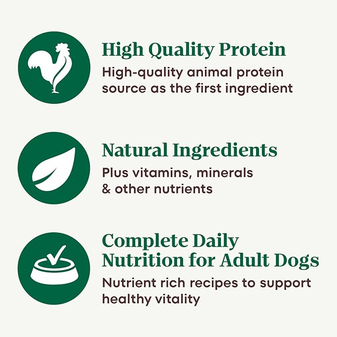 Nutro Hearty Stew Canned Wet Dog Food, Natural Grain Free Dog Food Wet Cuts in Gravy Chicken Beef Variety Pack, 12.5 oz Cans (12 Count, Pack of 1)