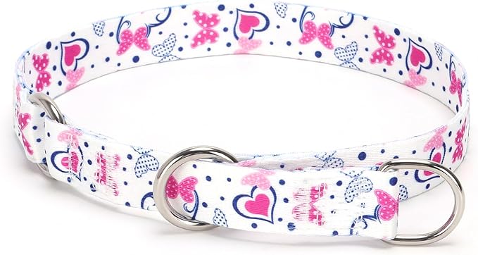 Training Dog Collar, No Pull Martingale Collar, Slip Collar with Slidable Stop Ring for Small, Medium, Large Dogs (NO11, M)