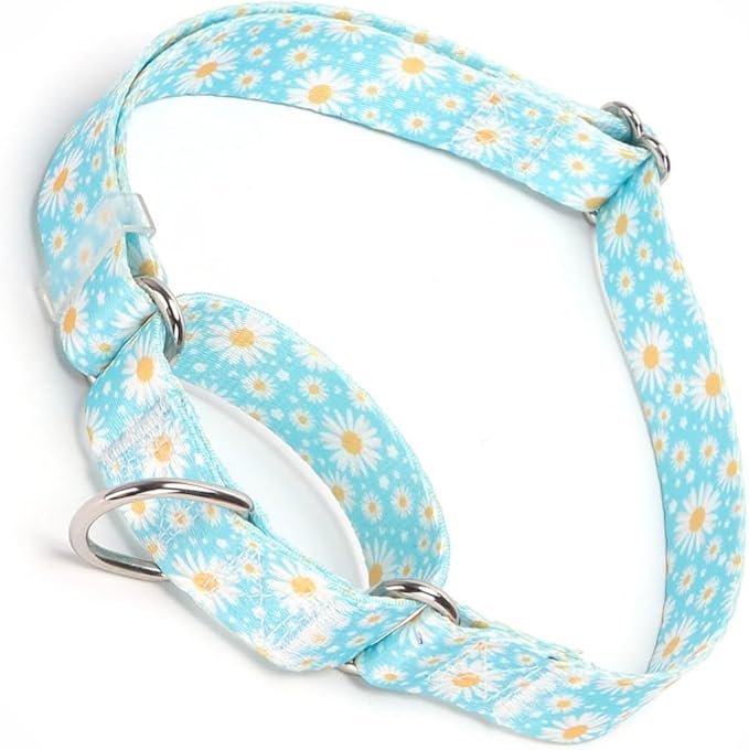 Light-Blue Martingale Collars for Dogs, Daisy Print No-Slip Escape Proof Choke No Pull Soft Nylon Training Dog Collars for Small Medium Large Breed Pet Dogs, S