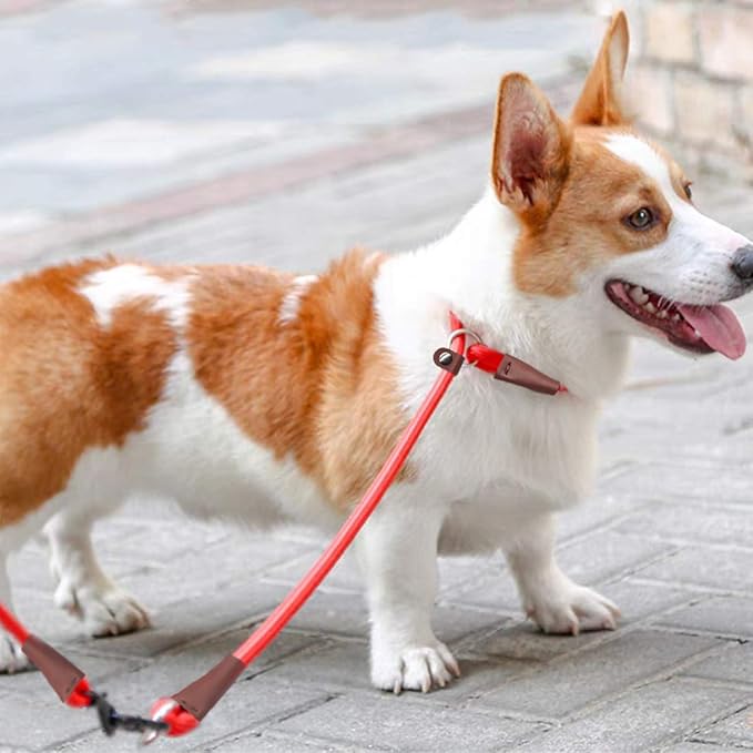 MayPaw Slip Collar Nylon Rope Choke Collar for Dog Training- No Pull Round Martingale Dog Collars for Small Medium Large Dogs (20" x 1/4", Red)