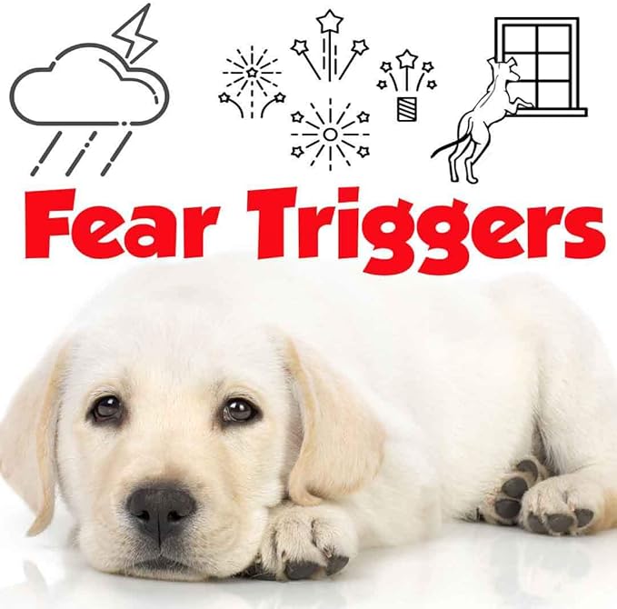The Blissful Dog Labrador Retriever Relax Dog Aromatherapy Spray for Your Dog's Anxiety
