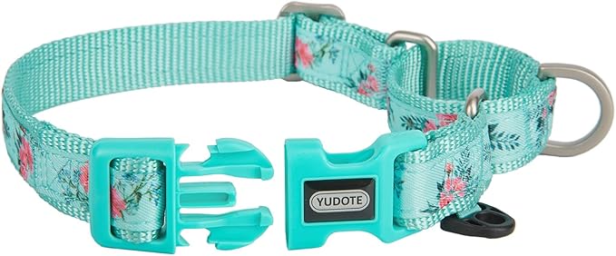 Martingale Dog Collar,Floral Pattern,with Safety Quick Release Buckle,Escape-Proof Anti-Pull for Medium Dogs(Green Floral,M)