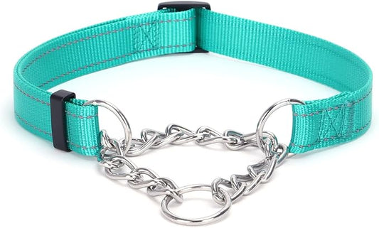 Martingale Dog Collar with Stainless Steel Chain and Leash Set, Martingale Collar with Reflective, 5FT Double Handle Dog Leash Padded, Adjustable for Medium Large Dogs (Teal Collar, L)