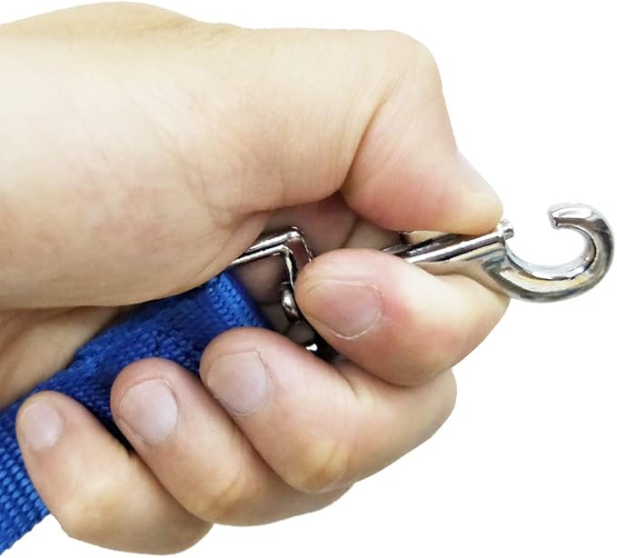 Nylon Training Dog Leash for Small Medium Large Dogs, 15ft 20ft 30ft 50ft Long Leash Dog/Puppy Lead for Obedience Recall Training, Camping (1" x 15ft, Blue)
