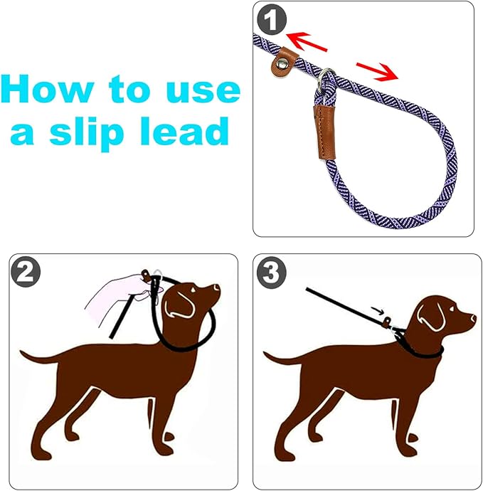 Slip Lead Dog Leash, 1/4" x 5ft No Pull Slip on Training Leash for Small and Medium Dogs (Purple)