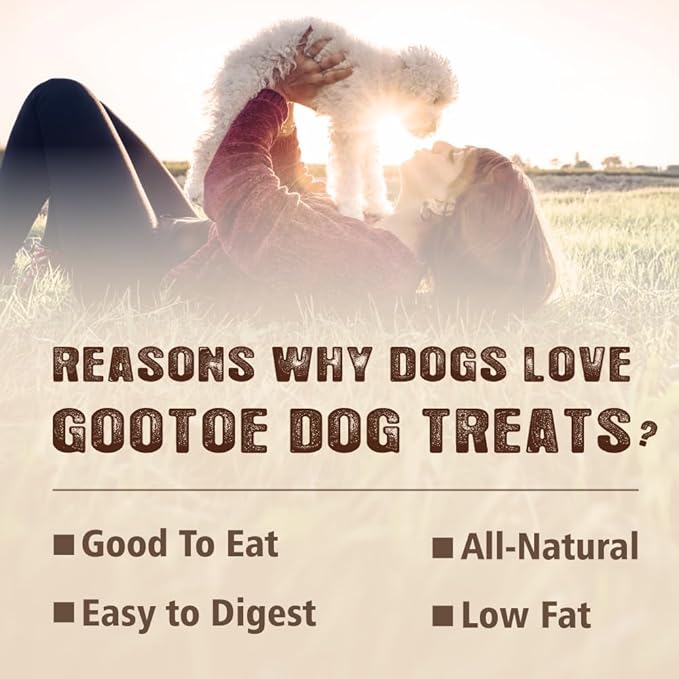 Gootoe Turkey Tendons for Dogs –All-Natural, Hypoallergenic Dog Treats, Rawhide Alternative, Long Lasting Puppy Chews, Healthy Dog Treats for Small Breeds, Ring (S), 6 Count Pack