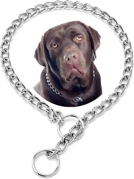 Chocker Collar for Dog,Dog Chain Collars,Metal Slip Link Training Heavy Duty Dog Collar Martingale Puppy Collars for XXS XS Small Medium Large Big XL Breed Dogs Silver XXS