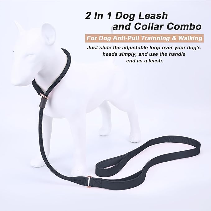 Slip Lead Dog Leash, Dog Training Leash with Double Handle, Soft Leather Slip Leash and Collar, Heavy Duty Nylon Dog Lead, No Pull Walking for Medium Large Small Dogs 5ft Black