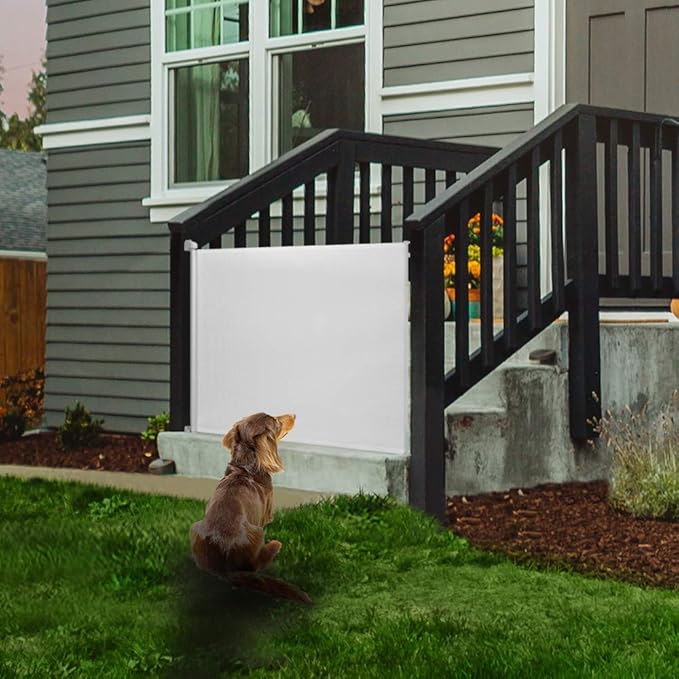 EasyBaby Extra Wide Retractable Baby Gate, 33" Tall, Extends up to 71" Wide, White/Child Safety Baby Gates, Pet Retractable Gates for Stairs, Doorways, Hallways, Indoor and Outdoor