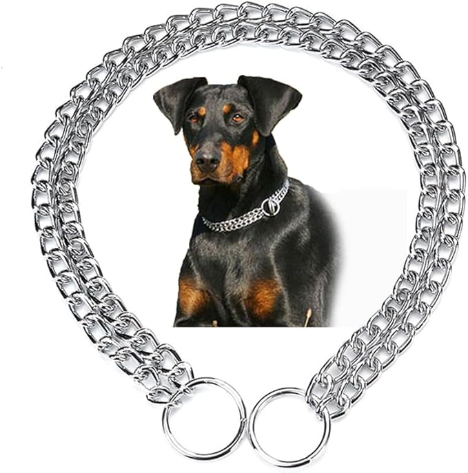 Silver Choker Collar for Dogs, Training Double Row Chain Collars Metal Slip Choke Martingale Collars for Small Medium Large Dog, D2.5mm