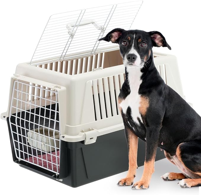 Ferplast Cat Carrier Small Dog Carrier, Double Opening, Secure, Practical, Easy to Clean, Durable Pet Travel Box up to 12 Kg, Includes Cushion, 60 x 40 x h. 38 cm