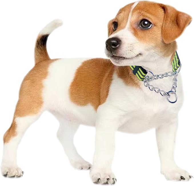 Martingale Collars for Dogs, Heavy Duty Stainless Steel Chain Training Collar, Reflective Nylon Adjustable Collar with Quick Release Buckle, Suitable for Puppy Medium Large Dogs (Green, M)