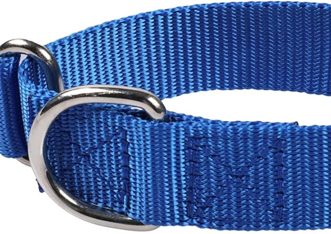 Martingale Collar for Dogs, No Pull Choke Collar for Dogs Heavy Duty No Slip Training Dog Choker Collar for for Small Medium Large Dogs (Purple, M)