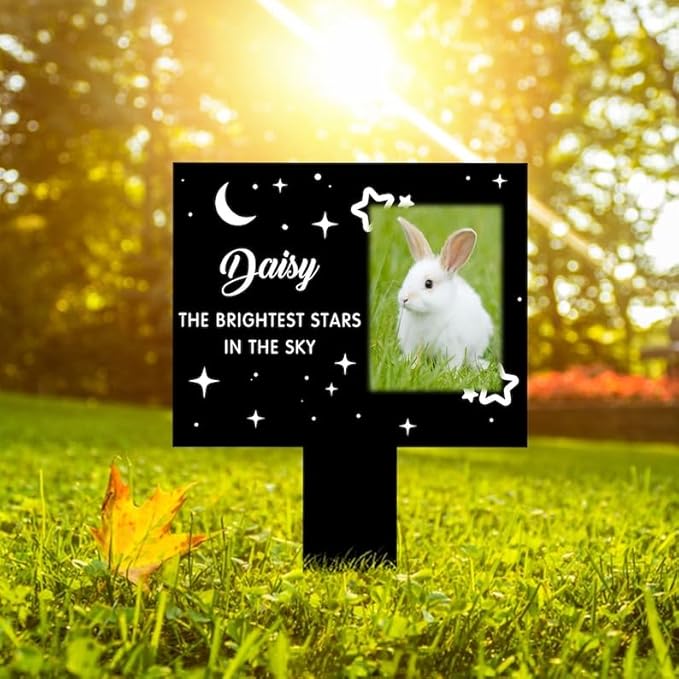 Personalized Bunny Memorial Stake Custom Rabbit Photo The Brightest Stars in The Sky Metal 12x12 inch Pet Grave Marker Rabbit Loss Gift Sympathy Gift for Rabbit Lover (Style 3)
