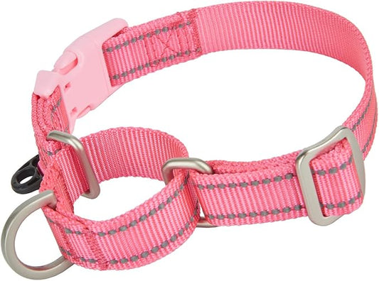 Martingale Collar Reflective Nylon Collar with Safety Quick Release Buckle,Escape-Proof Anti-Pull for Small Medium and Heavy Duty Dogs(Hotpink,M)