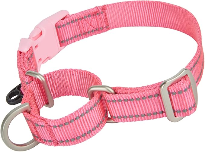Martingale Collar Reflective Nylon Collar with Safety Quick Release Buckle,Escape-proof Anti-pull for Small Medium and Heavy Duty Dogs(Hotpink,S)