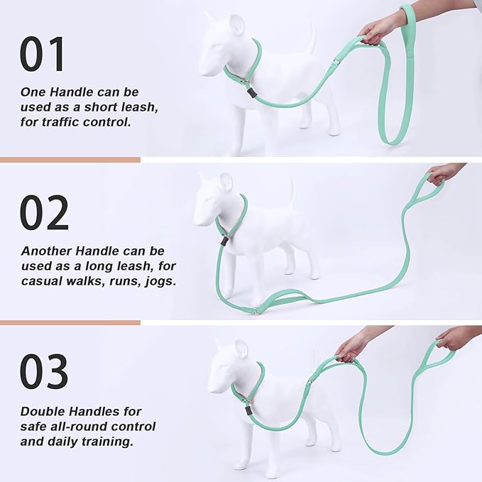 Slip Lead Dog Leash, Dog Training Leash with Double Handle, Soft Leather Slip Leash and Collar, Heavy Duty Nylon Dog Lead, No Pull Walking for Medium Large Small Dogs 6ft Mint Green