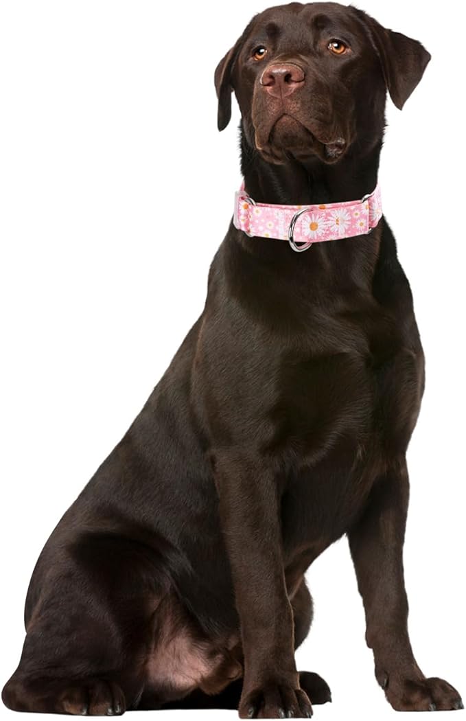 Pink Daisy Martingale Dog Collar for Large Dogs, No-Slip Escape Proof Choke No Pull Cinch Soft Nylon Training Dog Collars Adjustable for Small Medium Large Breed Pet Dogs, L