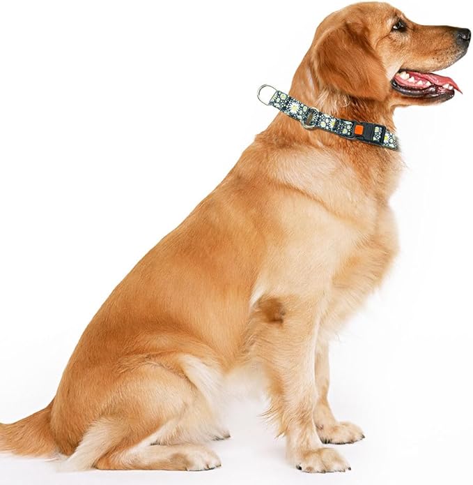 Martingale Collar for Large Dogs, No Slip Escape Proof Limited Choke Pinch Pet Collars Quick Release Buckle with Lock for Small Medium Large Breed Dogs, White Daisy L
