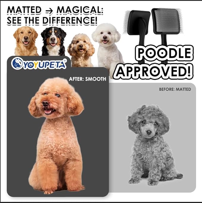 Large Slicker Brush for Dogs,Doodle Brush for Poodles, Goldendoodles, Labradoodle, Extra Long Pins for Detangling Matted Fur & Removing Tangle, Dog Grooming Kit with Wooden Handle. Black
