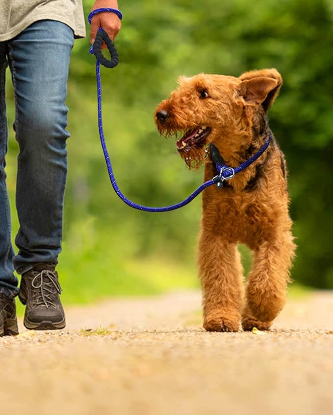 TagME Slip Leads for Dogs that Pull, 6 FT No-Pull Training Leash with Lock, Escape-Proof Design, Reflective & Padded Handle for Medium Dogs, Navy Blue