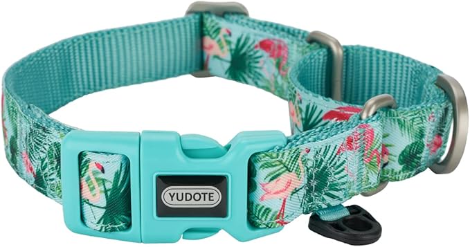 Martingale Dog Collar,Flamingo Pattern,with Safety Quick Release Buckle,Escape-Proof Anti-Pull for Small Puppy Dogs(Flamingo,XS)