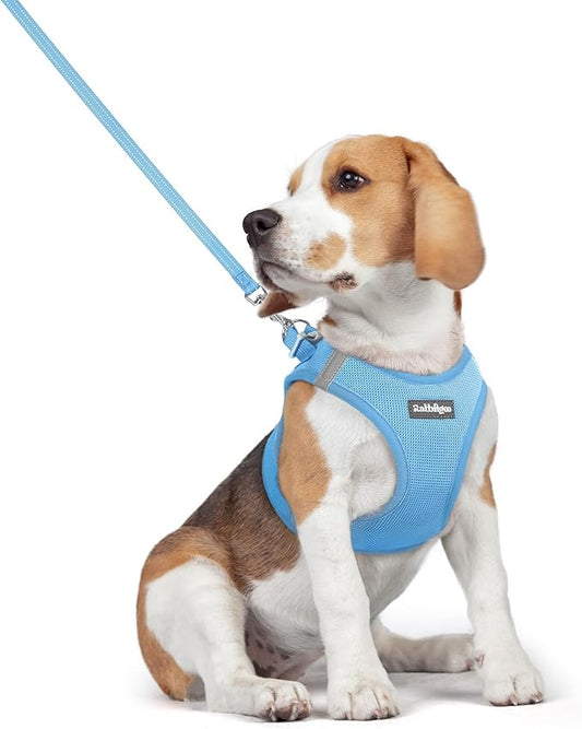 rabbitgoo Dog Harness Small Medium Sized and Leash Set, Step in Soft Light Puppy Vest, Breathable Mesh Pet Harness, Reflective for Safe Easy Walking, Blue L