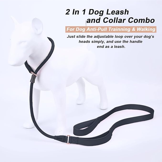 Slip Lead Dog Leash, Soft Leather Dog Training Leash with Double Handle, Heavy Duty Nylon Dog Lead Slip Lead and Collar, No Pull Walk for Medium Large Small Dogs 6ft Black
