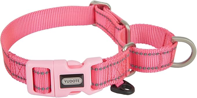 Martingale Collar Reflective Nylon Collar with Safety Quick Release Buckle,Escape-proof Anti-pull for Small Medium and Heavy Duty Dogs(Hotpink,S)