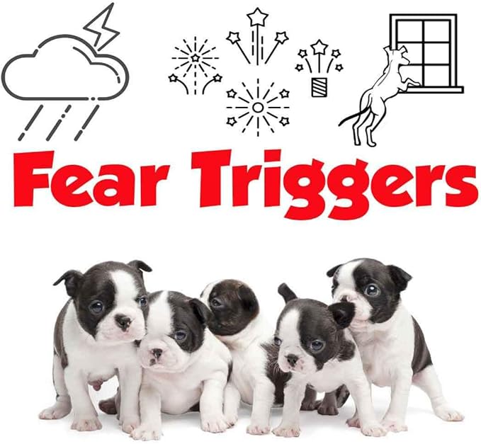 The Blissful Dog Boston Terrier Relax Dog Aromatherapy Spray for Your Dog's Anxiety