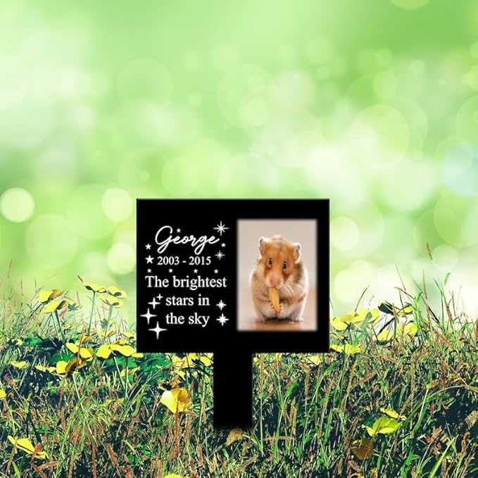 Personalized Hamster Memorial Stake Custom Hamster Photo The Brightest Stars in The Sky Metal 8x8 inch Pet Grave Marker Hamster Loss Gift Sympathy Gift for Hamster Lover (Style 11)
