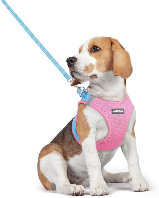 rabbitgoo Dog Harness Small Medium Sized and Leash Set, Step in Soft Light Puppy Vest, Breathable Mesh Pet Harness, Reflective for Safe Easy Walking, Blue & Light Pink L