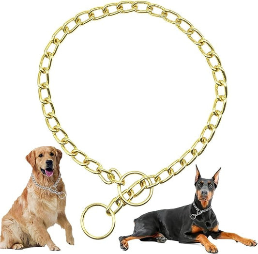 Gold Dog Choker Collar for Medium Dogs Metal Slip Chain Collars Heavy Duty Training Martingale Dog Collars for XXS XS Small Medium Large Breed Pets, M
