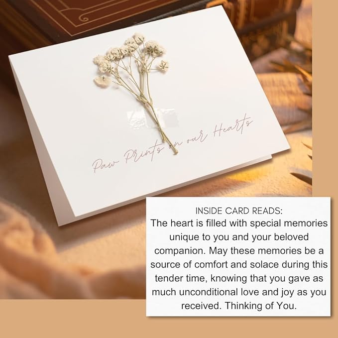 Pet Loss Bereavement Gift Box – Sympathy Gift for Loss of Dog, Pet Memorial Set with Photo Frame, Remembrance Ornament, Memory Candle & Hot Water Bottle, Condolence Comfort Gift for Grieving Pet Owner